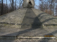 IMG_1171.jpg, 30kB